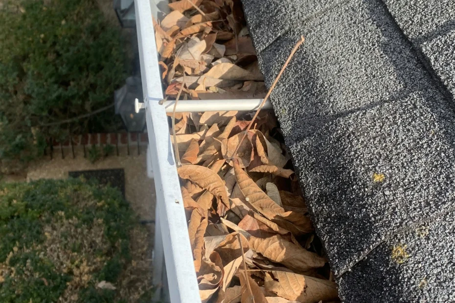 Gutter Cleaning Trenton