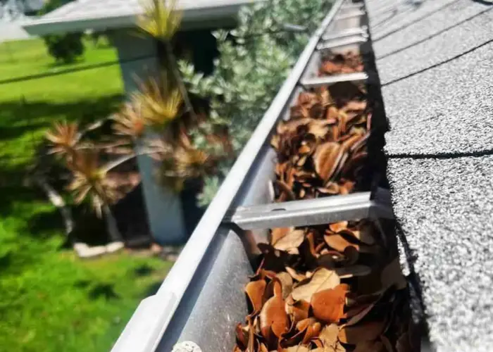 Gutter Cleaning Trenton home page